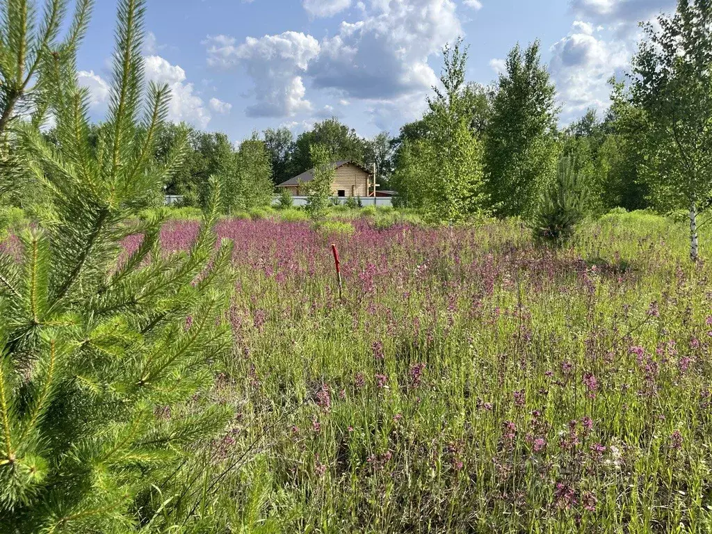Участок в Нижегородская область, Балахнинский муниципальный округ, ... - Фото 1