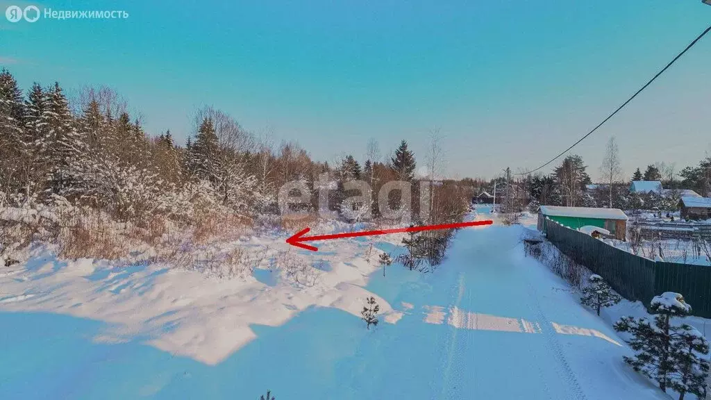 Участок в Ленинградская область, Гатчинский муниципальный округ, ... - Фото 2