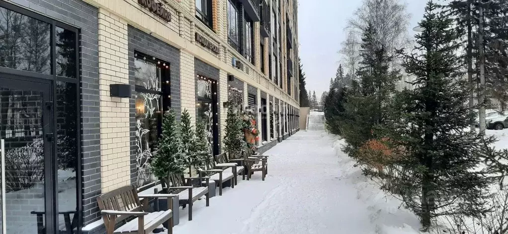 Помещение свободного назначения в Новосибирская область, Новосибирск ... - Фото 0