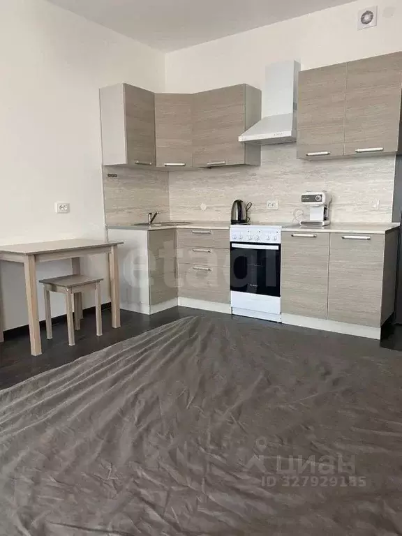 Студия Санкт-Петербург просп. Ветеранов, 183 (24.9 м) - Фото 1