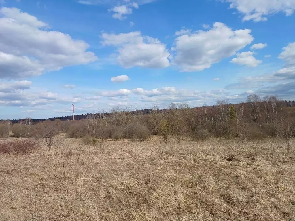 Участок в Московская область, Сергиево-Посадский городской округ, д. ... - Фото 0