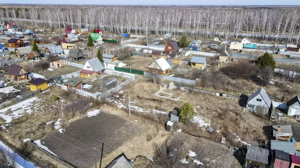 Участок в Тюменская область, Тюменский район, Птицевод садовое ... - Фото 0