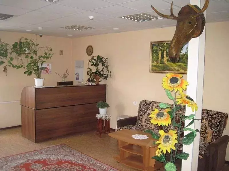 Комната Башкортостан, Благовещенск Луговая ул., 5 (10.0 м) - Фото 1