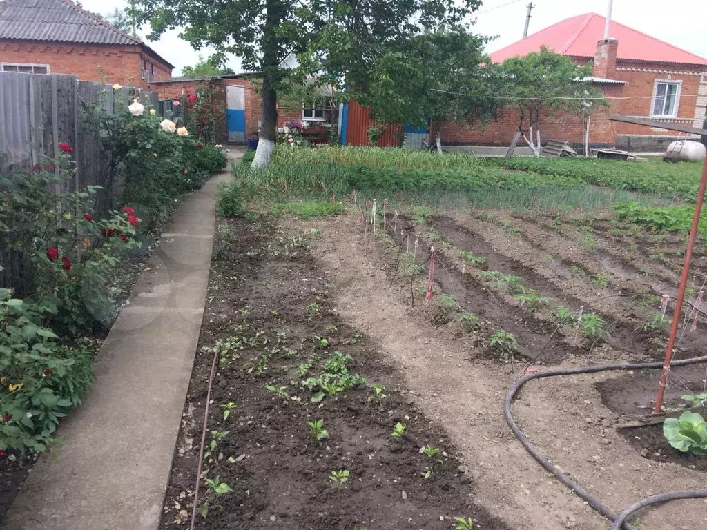 Купить Дом Село Великовечное Белореченского Района