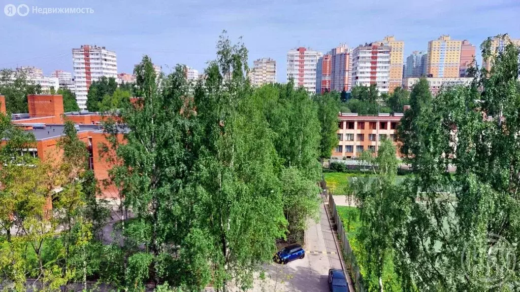 2-комнатная квартира: Санкт-Петербург, проспект Луначарского, 70к3 ... - Фото 2