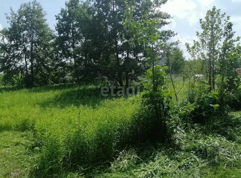 Участок в Калужская область, Перемышльский муниципальный округ, ... - Фото 2