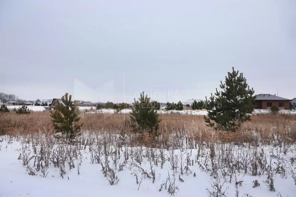 Участок в Тюменская область, Тюмень  (10.0 сот.) - Фото 0