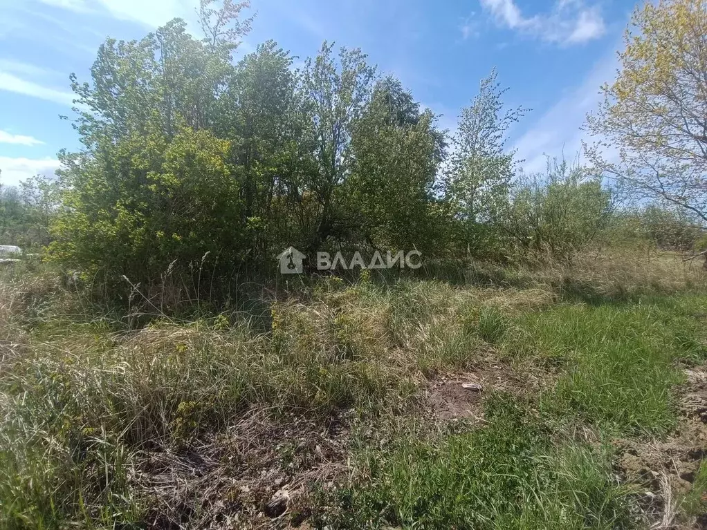 Участок в Калининградская область, Зеленоградский муниципальный округ, ... - Фото 1
