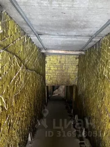 Склад в Новосибирская область, Новосибирск Большевистская ул., 131к4 ... - Фото 1