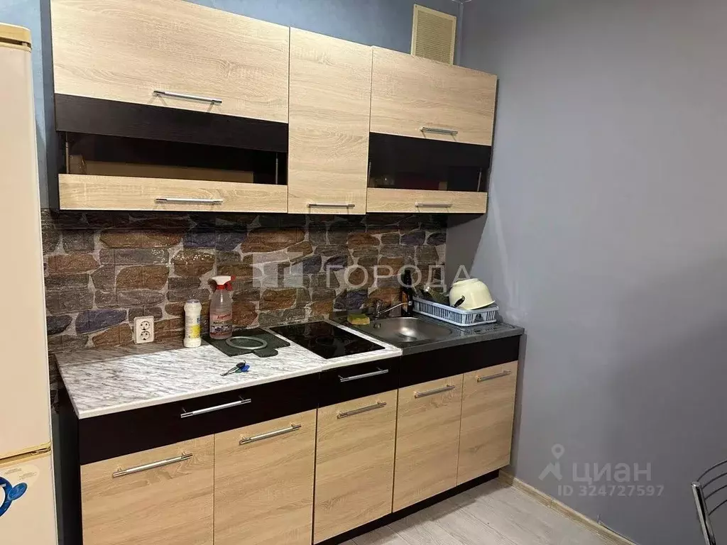 Студия Новосибирская область, Новосибирск ул. Дмитрия Шмонина, 1 (33.0 ... - Фото 2