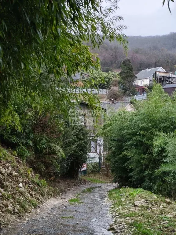 Дом в Краснодарский край, Сочи Совет-Квадже мкр, ул. Сибирская, 38/1 ... - Фото 2