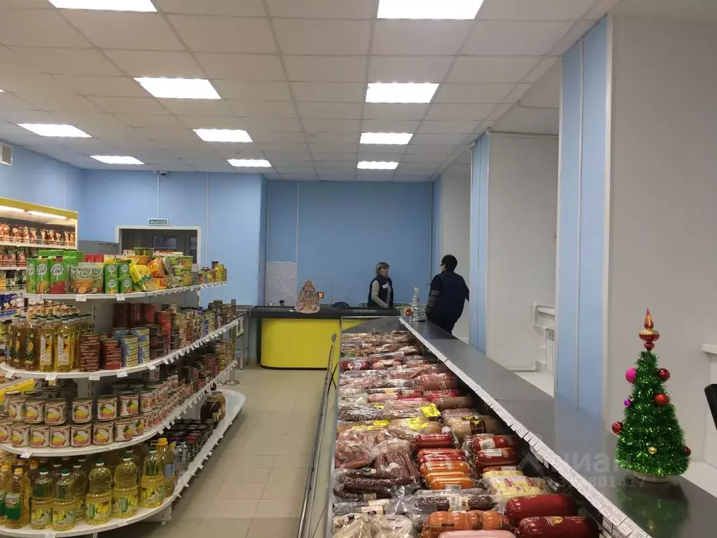Помещение свободного назначения в Липецкая область, Елец ул. ... - Фото 0