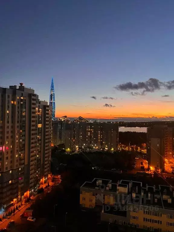 2-к кв. Санкт-Петербург Лыжный пер., 8к1 (100.0 м) - Фото 1