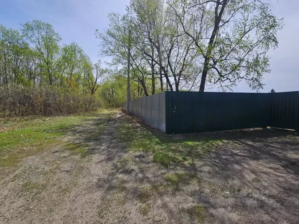 Участок в Амурская область, с. Ивановка  (15.0 сот.) - Фото 0