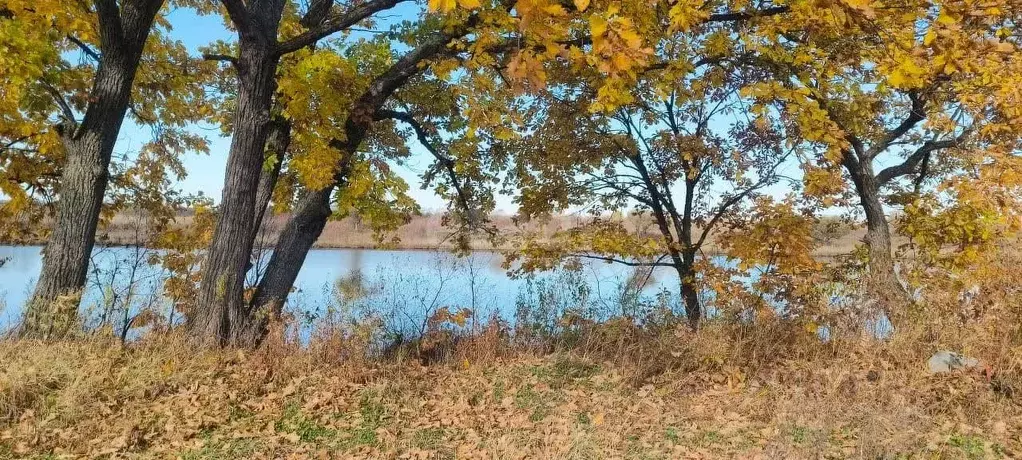 Участок в Приморский край, Кировский район, с. Архангеловка  (10220.0 ... - Фото 0