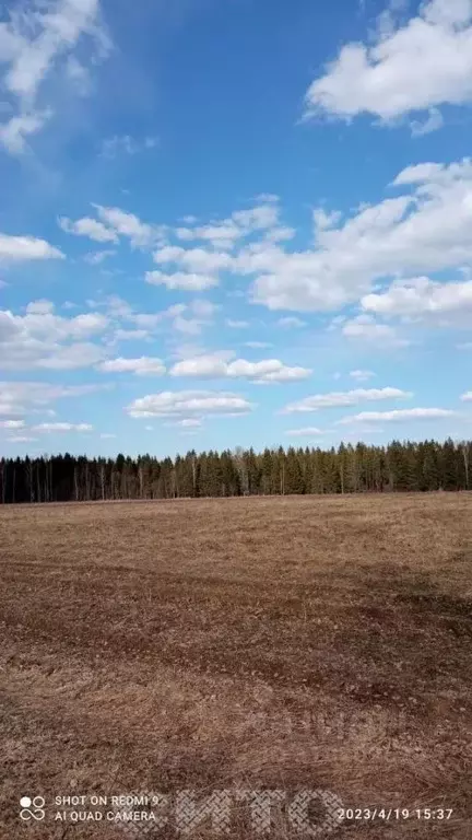 Участок в Вологодская область, Череповецкий район, Югское ... - Фото 0