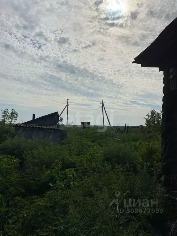 Дом в Тюменская область, Ишимский район, с. Боровое Центральная ул. ... - Фото 1