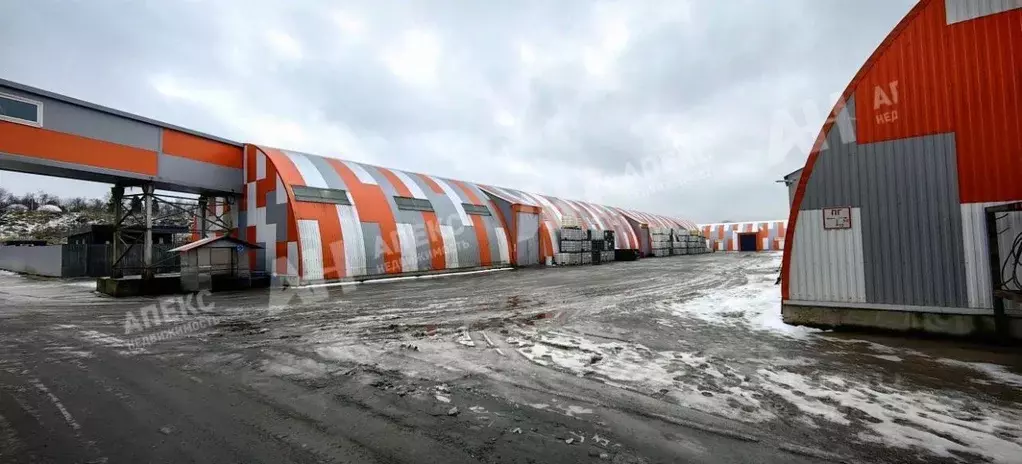 Склад в Московская область, Пушкинский городской округ, д. Алешино с11 ... - Фото 1