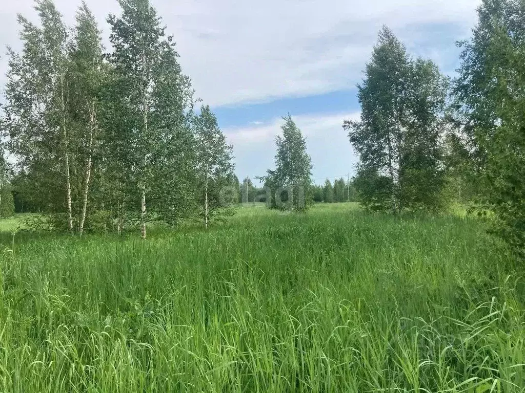 участок в свердловская область, ревда городской округ, с. кунгурка ул. . - Фото 0