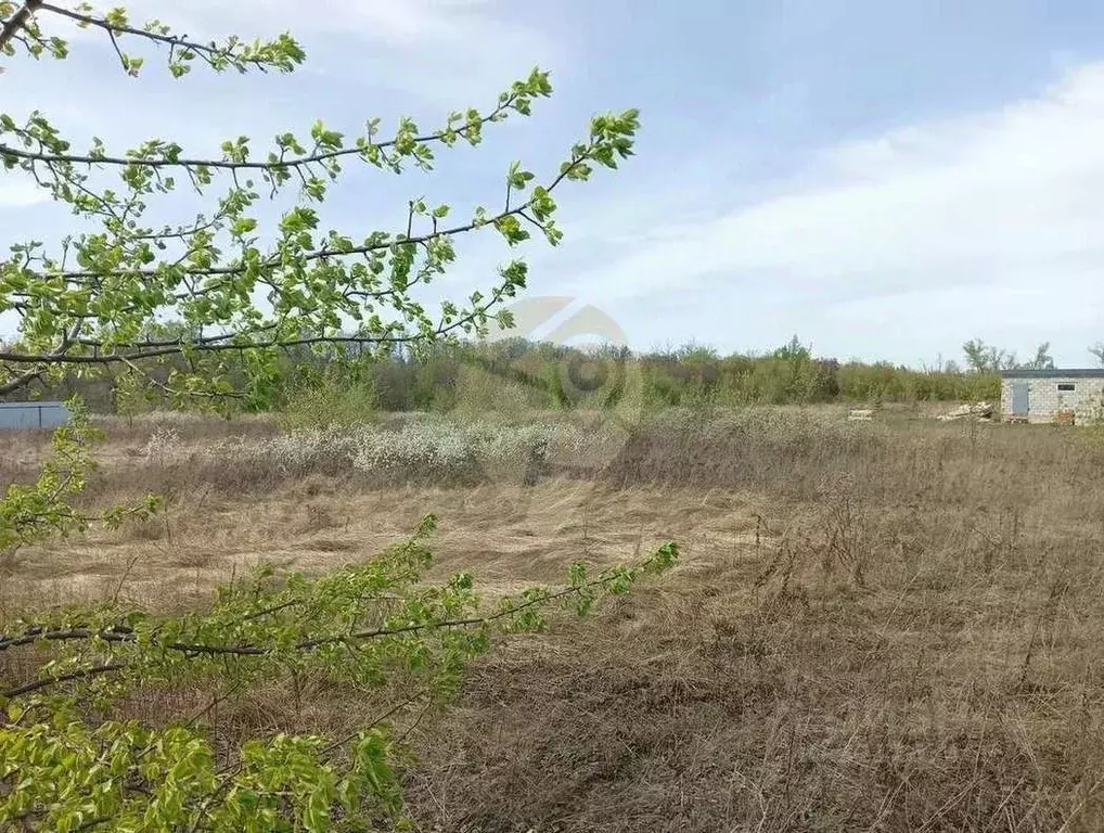 Участок в Белгородская область, Старый Оскол 7 (15.0 сот.) - Фото 2