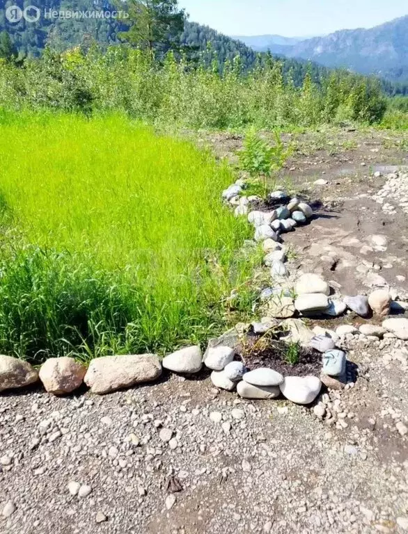 Участок в Манжерокское сельское поселение, село Озёрное, Таёжная улица ... - Фото 2