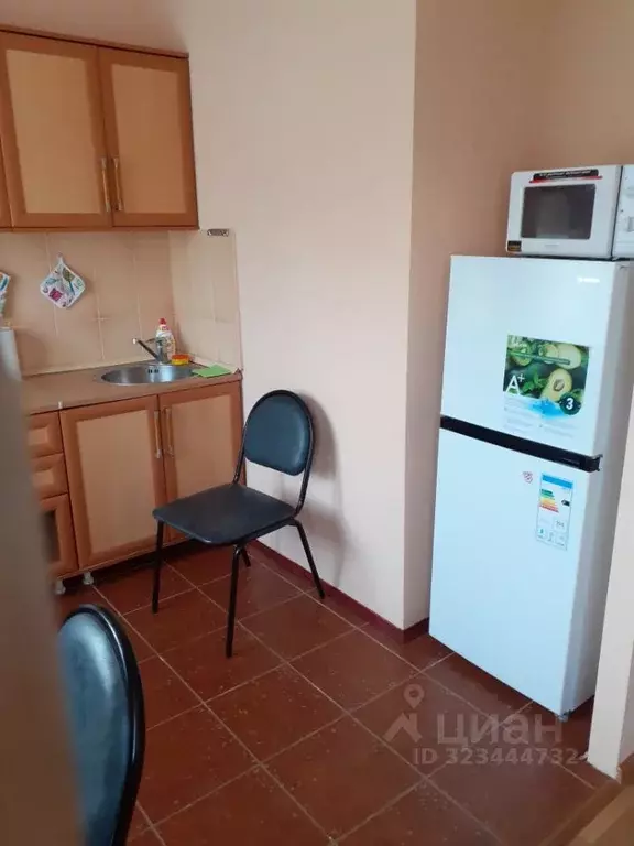 Студия Краснодарский край, Сочи Центральный мкр, ул. Парковая, 34 ... - Фото 2