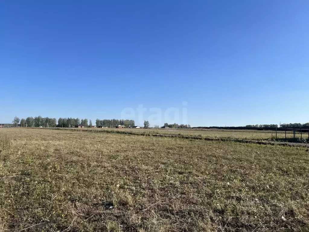 Участок в Мордовия, Лямбирский район, Берсеневское с/пос, Альтерра кп  ... - Фото 2