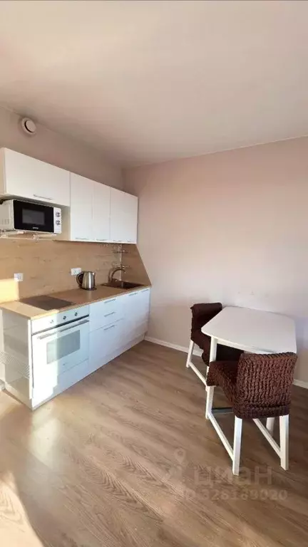 Студия Санкт-Петербург ш. Суздальское, 30к2с1 (25.8 м) - Фото 2