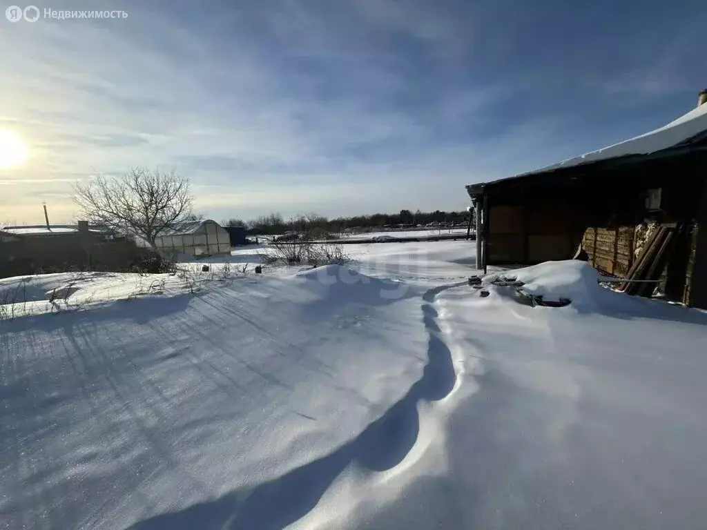 Участок в Амурская область, Ивановский муниципальный округ, село ... - Фото 2