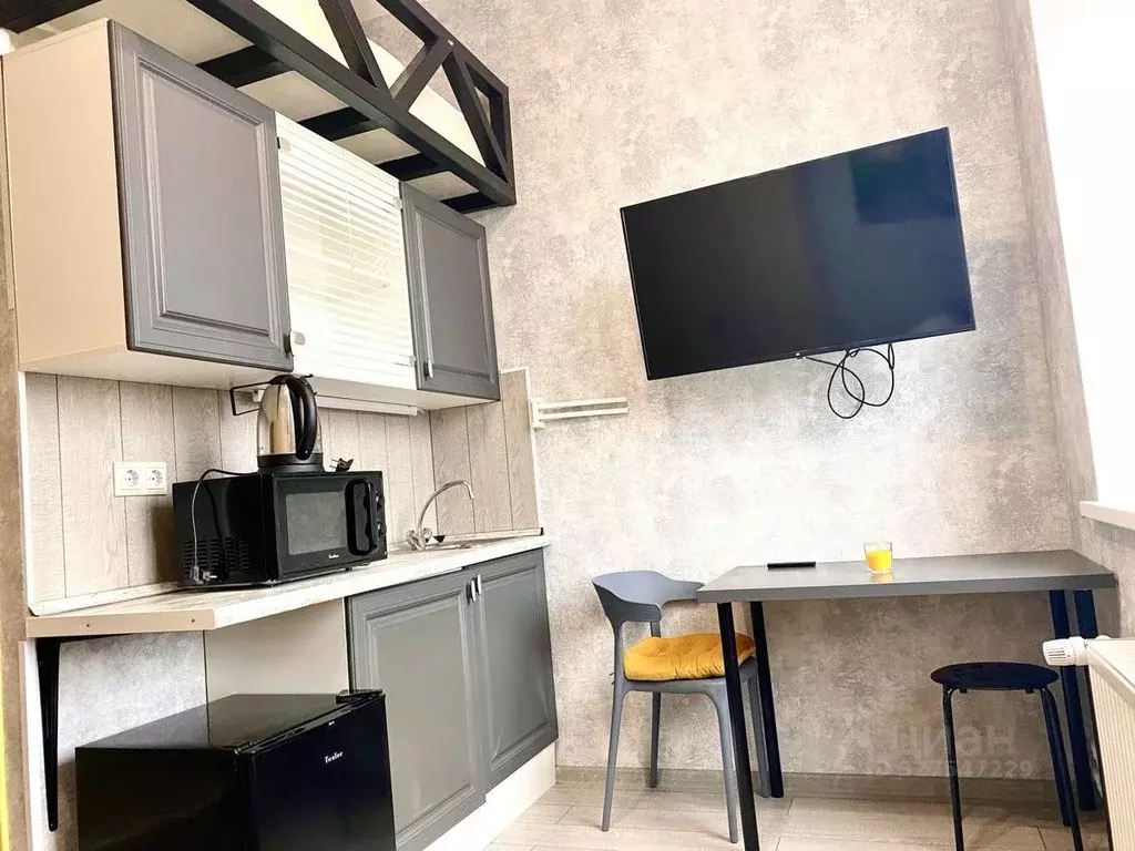 Студия Московская область, Истра муниципальный округ, Снегири пгт ул. ... - Фото 2