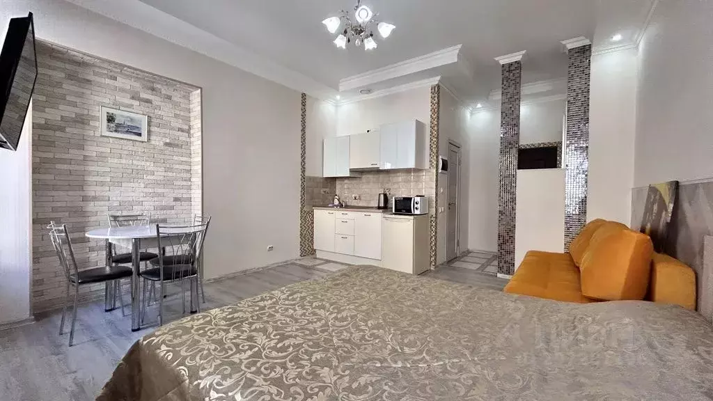 Студия Санкт-Петербург Конюшенный пер., 1/6 (27.0 м) - Фото 0