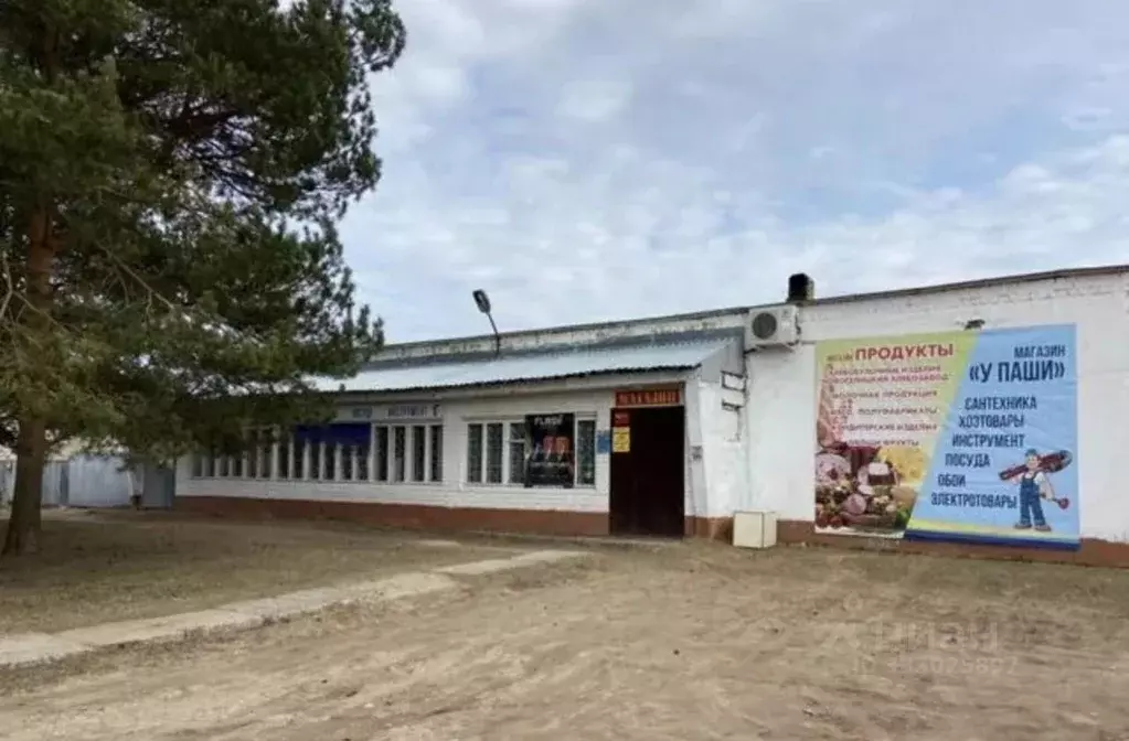 Торговая площадь в Новгородская область, Новгородский муниципальный ... - Фото 1