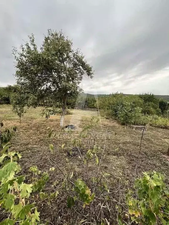 Участок в Ставропольский край, Железноводск Ясная Поляна СТ, 445 (5.0 ... - Фото 2