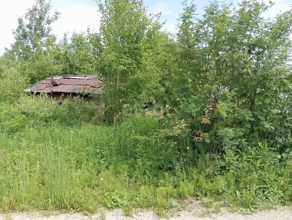 Участок в Свердловская область, Каменский муниципальный округ, пос. ... - Фото 1
