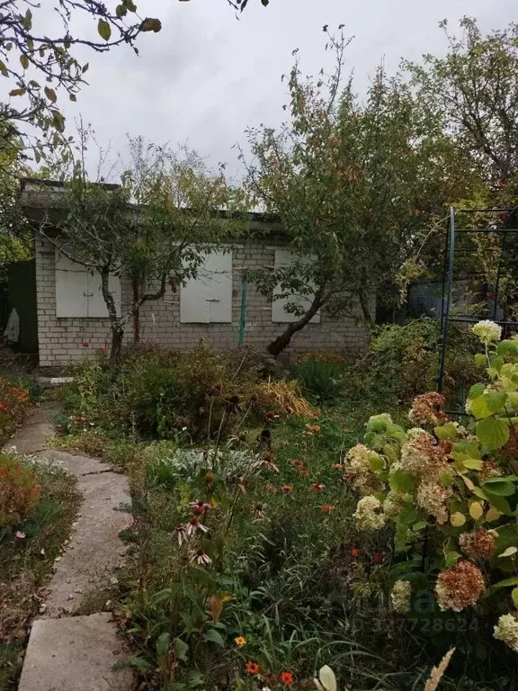 Дом в Курская область, Курск Урожай садовое товарищество, 704 (48 м) - Фото 1