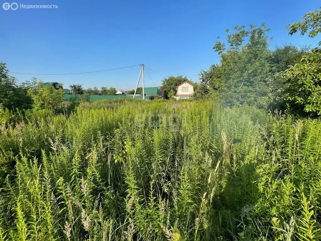 Участок в село Чернуха, садоводческое товарищество Рассвет (12.9 м) - Фото 0