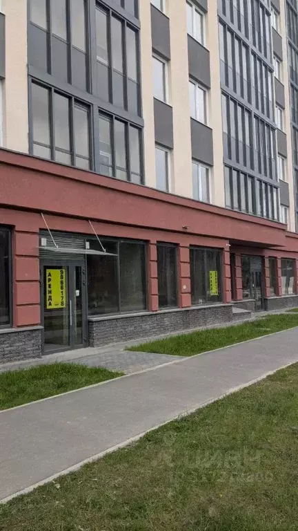 Помещение свободного назначения в Ленинградская область, Мурино ... - Фото 1