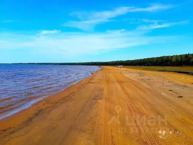 Участок в Ленинградская область, Приозерский район, Запорожское с/пос, ... - Фото 1