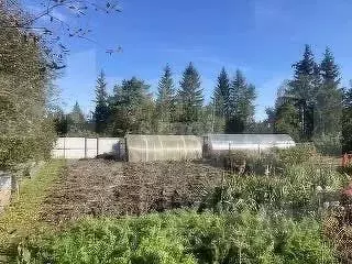 Участок в Курганская область, Кетовский муниципальный округ, Иволга со ... - Фото 2