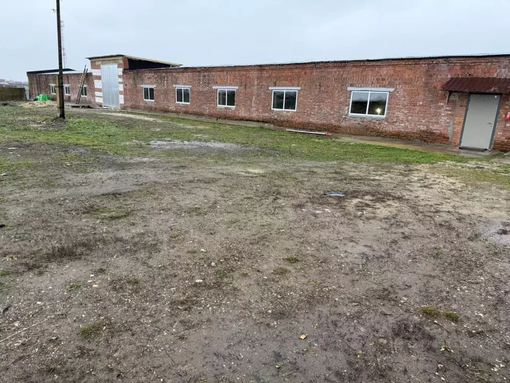 Помещение свободного назначения в Московская область, Луховицы ... - Фото 1