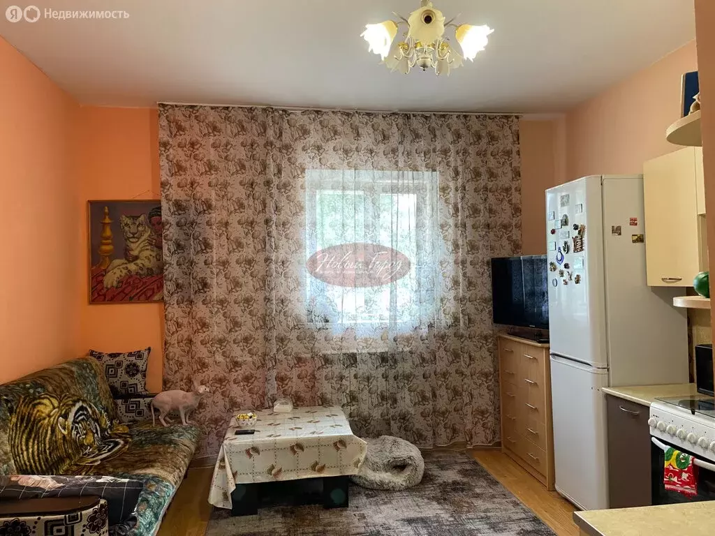 Квартира-студия: Тюмень, улица Бабарынка, 67 (25.4 м) - Фото 0