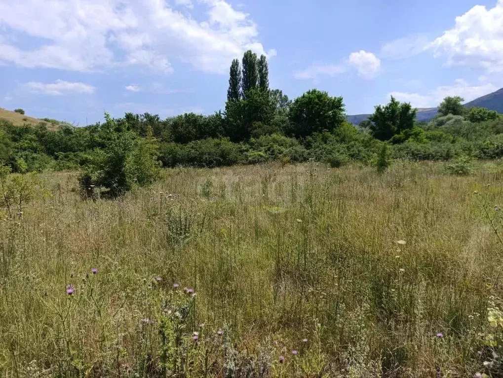 Участок в Крым, Симферопольский район, Добровское с/пос, с. Заречное ... - Фото 2