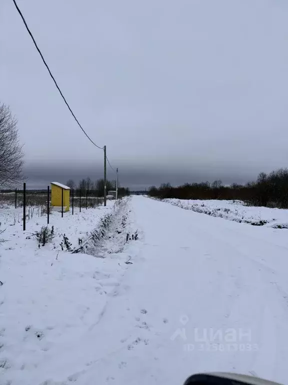 Участок в Ленинградская область, Гатчинский муниципальный округ, пос. ... - Фото 2