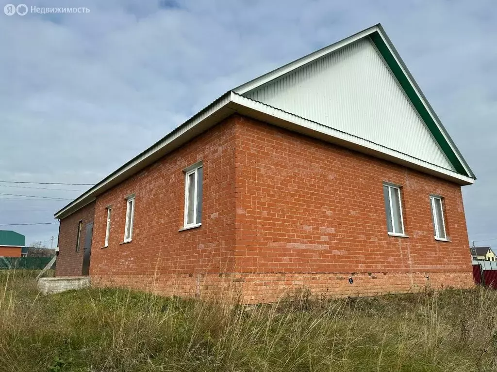 Дом в село Нижнеяркеево, Илишевская улица (100 м) - Фото 1