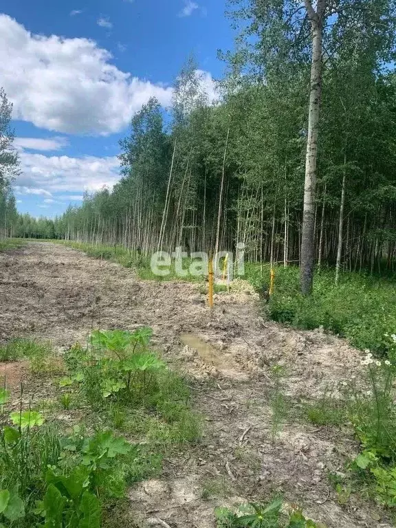 Участок в Санкт-Петербург, Санкт-Петербург, Павловск Павлов Скай кп,  ... - Фото 1
