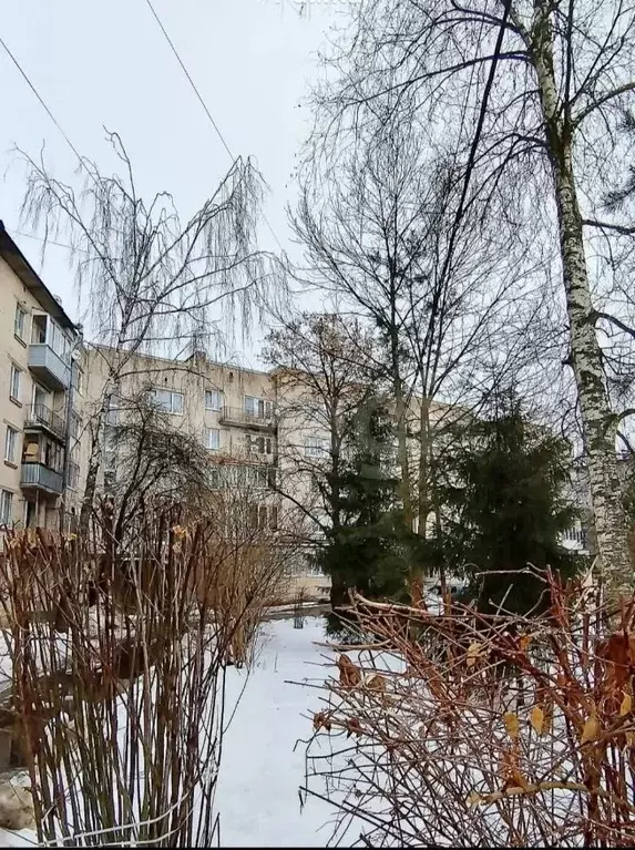 3-к кв. Ленинградская область, Тосненский район, Федоровское городское ... - Фото 2