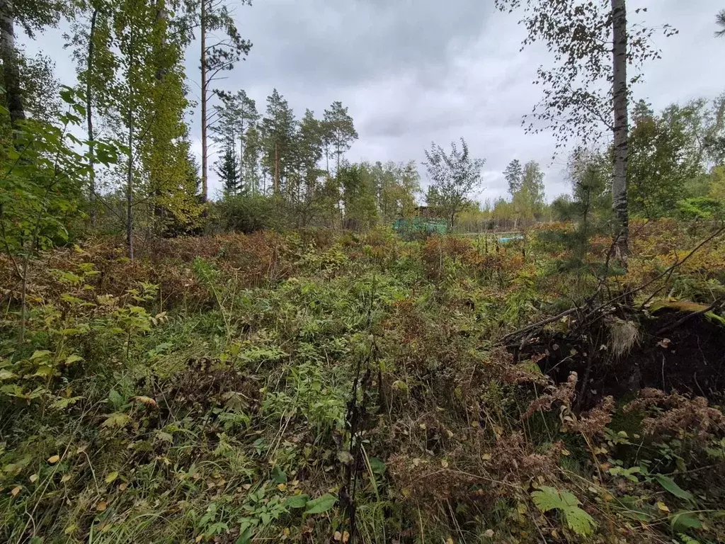 Участок в Красноярский край, Дивногорск городской округ, с. Овсянка ... - Фото 1