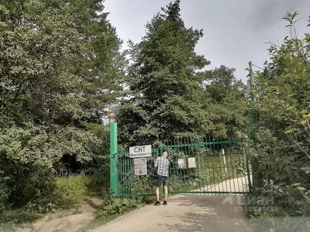 Дом в Свердловская область, Белоярский муниципальный округ, ... - Фото 1