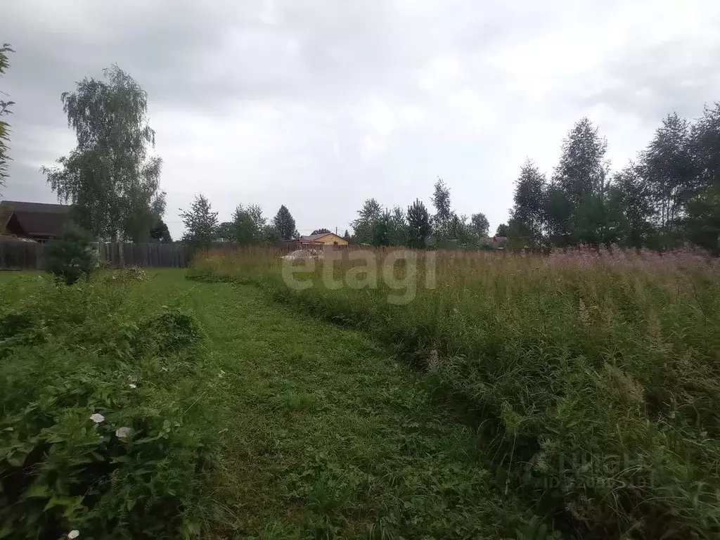 Участок в Владимирская область, Костерево Петушинский район, д. Новая, ... - Фото 0