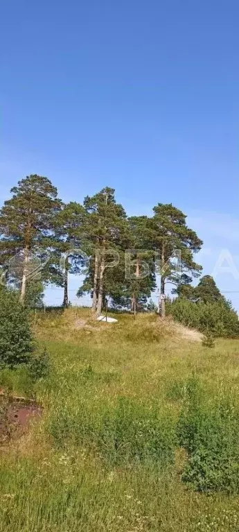 Участок в Тюменская область, Тюменский район, д. Малиновка, Малиновка ... - Фото 1